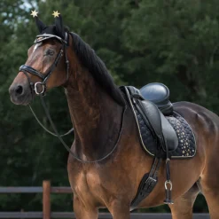 Oornetje QHP Celebrate Zwart -Ruiter Hoek Verkoopwinkel oornetje qhp celebrate zwart 1500x1500 169692