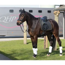 Oornetje QHP Flags Zwart-mix -Ruiter Hoek Verkoopwinkel oornetje qhp flags zwart mix 1500x1500 130764