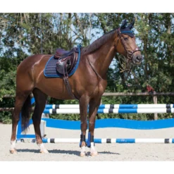 Oornetje QHP Florence Donkerblauw -Ruiter Hoek Verkoopwinkel oornetje qhp florence donkerblauw 1500x1500 125724