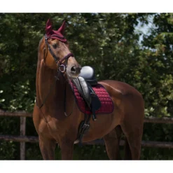 Oornetje QHP Florence Donkerrood -Ruiter Hoek Verkoopwinkel oornetje qhp florence donkerrood 1500x1500 125727