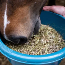 Pavo DailyPlus 12kg Overige -Ruiter Hoek Verkoopwinkel pavo dailyplus 12kg overige 1500x1500 172658