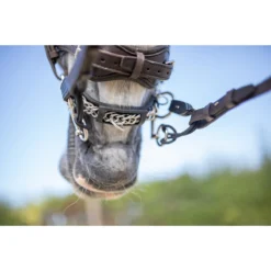 Pelham Riempjes Sprenger Zwart -Ruiter Hoek Verkoopwinkel pelham riempjes sprenger zwart 1500x1500 103273