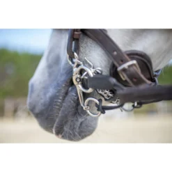 Pelham Riempjes Sprenger Zwart -Ruiter Hoek Verkoopwinkel pelham riempjes sprenger zwart 1500x1500 103274