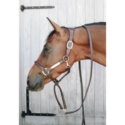 Presentatielijn Kentucky Bruin -Ruiter Hoek Verkoopwinkel presentatielijn kentucky bruin 1500x1500 137556