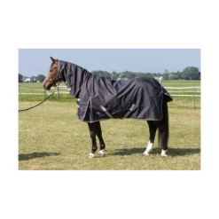 Regendeken Harrys Horse Thor 0gr Met Nek Zwart -Ruiter Hoek Verkoopwinkel regendeken harrys horse thor 0gr met nek zwart 1500x1500 102562