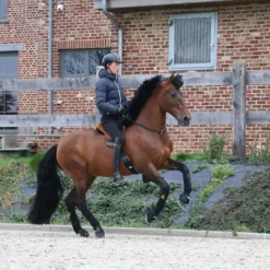 Rijring F.R.A. Kripton Bruin -Ruiter Hoek Verkoopwinkel rijring f r a kripton bruin 1500x1500 101027