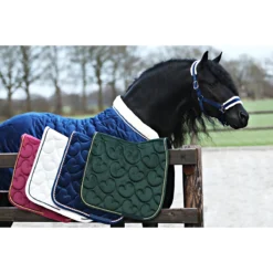 Staldeken Friesian Horse By Horsegear 160gr Donkerblauw 16 Staldeken Friesian Horse By Horsegear 160gr Donkerblauw -Ruiter Hoek Verkoopwinkel staldeken friesian horse by horsegear 160gr donkerblauw 1500x1500 173350