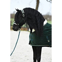 Staldeken Friesian Horse By Horsegear 160gr Donkergroen -Ruiter Hoek Verkoopwinkel staldeken friesian horse by horsegear 160gr donkergroen 1500x1500 173362