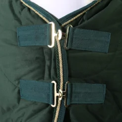 Staldeken Friesian Horse By Horsegear 160gr Donkergroen -Ruiter Hoek Verkoopwinkel staldeken friesian horse by horsegear 160gr donkergroen 1500x1500 173364