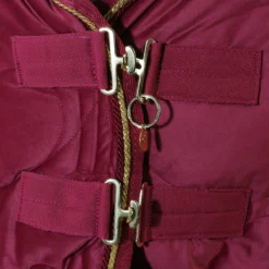 Staldeken Friesian Horse By Horsegear 160gr Donkerrood -Ruiter Hoek Verkoopwinkel staldeken friesian horse by horsegear 160gr donkerrood 1500x1500 173354