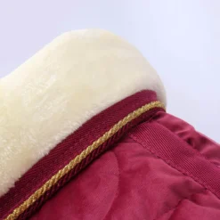 Staldeken Friesian Horse By Horsegear 160gr Donkerrood -Ruiter Hoek Verkoopwinkel staldeken friesian horse by horsegear 160gr donkerrood 1500x1500 173357