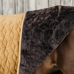 Staldeken Kentucky Velvet 160gr Donkergeel -Ruiter Hoek Verkoopwinkel staldeken kentucky velvet 160gr donkergeel 1500x1500 139902