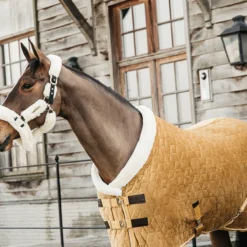 Staldeken Kentucky Velvet 160gr Donkergeel -Ruiter Hoek Verkoopwinkel staldeken kentucky velvet 160gr donkergeel 1500x1500 139904