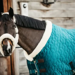 Staldeken Kentucky Velvet 160gr Groen -Ruiter Hoek Verkoopwinkel staldeken kentucky velvet 160gr groen 1500x1500 139911