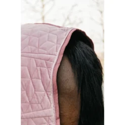 Staldeken Kentucky Velvet 160gr Roze -Ruiter Hoek Verkoopwinkel staldeken kentucky velvet 160gr roze 1500x1500 139896