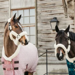 Staldeken Kentucky Velvet 160gr Roze -Ruiter Hoek Verkoopwinkel staldeken kentucky velvet 160gr roze 1500x1500 139897