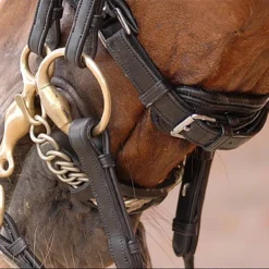 Stang En Trens Dy'on DRC Lak Zwart-wit -Ruiter Hoek Verkoopwinkel stang en trens dy on drc lak zwart wit 1500x1500 101430