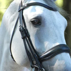 Stang En Trens Dy'on Working Collection Mat Zwart -Ruiter Hoek Verkoopwinkel stang en trens dy on working collection mat zwart 1500x1500 141612