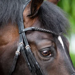 Stang En Trens HB Showtime Special For You Black-black -Ruiter Hoek Verkoopwinkel stang en trens hb showtime special for you black black 1500x1500 181566