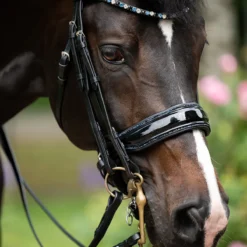 Stang En Trens HB Showtime Special For You Black-blue -Ruiter Hoek Verkoopwinkel stang en trens hb showtime special for you black blue 1500x1500 181570