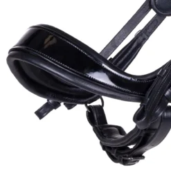 Stang En Trens PresTeq FayPerform Shine Zwart -Ruiter Hoek Verkoopwinkel stang en trens presteq fayperform shine zwart 1500x1500 182516