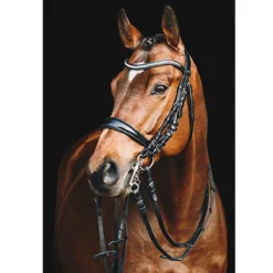 Stang En Trens Schockemöhle Equitus Gamma Zwart -Ruiter Hoek Verkoopwinkel stang en trens schockemohle equitus gamma zwart 1500x1500 118189