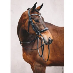 Stang En Trens Schockemöhle Equitus Gamma Zwart -Ruiter Hoek Verkoopwinkel stang en trens schockemohle equitus gamma zwart 1500x1500 118190