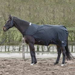 Stapmolendeken Harry's Horse 600D 0gr Zwart -Ruiter Hoek Verkoopwinkel stapmolendeken harry s horse 600d 0gr zwart 1500x1500 100812
