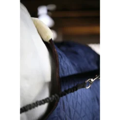 Stapmolendeken Kentucky 160gr Donkerblauw -Ruiter Hoek Verkoopwinkel stapmolendeken kentucky 160gr donkerblauw 1500x1500 139838