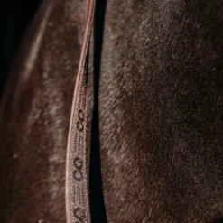 Teugels PresTeq FaySport Bruin -Ruiter Hoek Verkoopwinkel teugels presteq faysport bruin 1500x1500 167023