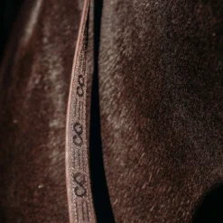 Teugels PresTeq FaySport Met Clips Bruin -Ruiter Hoek Verkoopwinkel teugels presteq faysport met clips bruin 1500x1500 167009