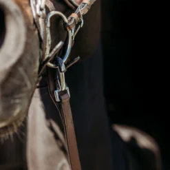 Teugels PresTeq FaySport Met Clips Bruin -Ruiter Hoek Verkoopwinkel teugels presteq faysport met clips bruin 1500x1500 167010