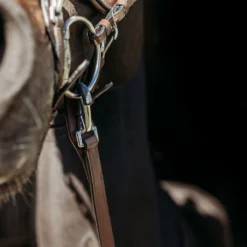 Teugels PresTeq FaySport Met Clips&Stops Bruin -Ruiter Hoek Verkoopwinkel teugels presteq faysport met clips stops bruin 1500x1500 167014