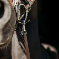 Teugels PresTeq FaySport Met Clips&Stops Bruin -Ruiter Hoek Verkoopwinkel teugels presteq faysport met clips stops bruin 1500x1500 167018