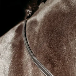 Teugels PresTeq FaySport Met Clips Zwart -Ruiter Hoek Verkoopwinkel teugels presteq faysport met clips zwart 1500x1500 167006