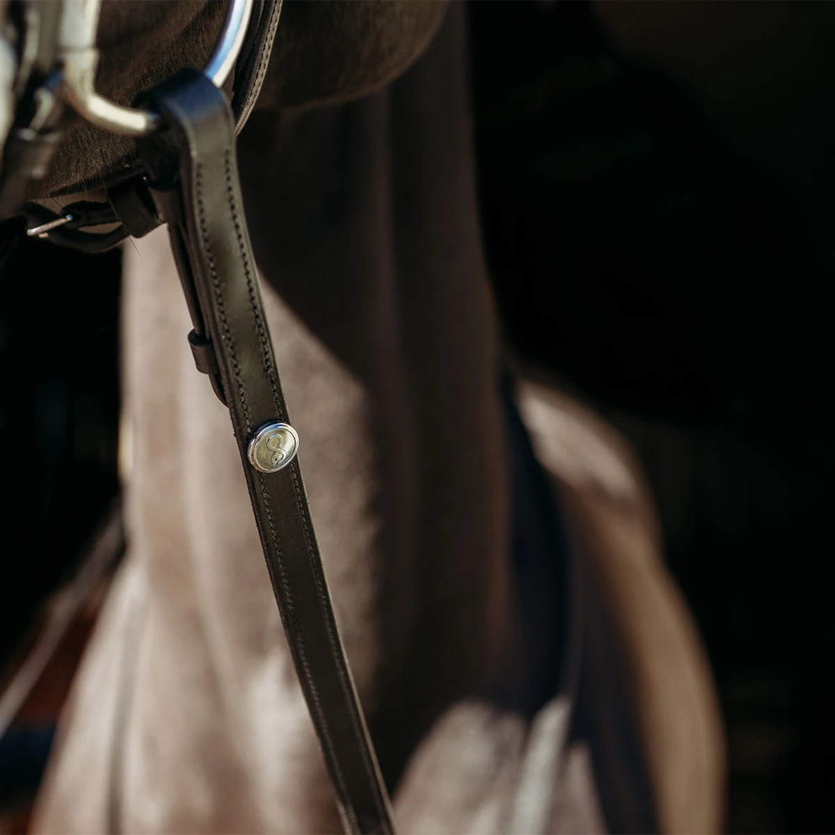 Teugels PresTeq FaySport Zwart 4 Teugels PresTeq FaySport Zwart - Afbeelding 2