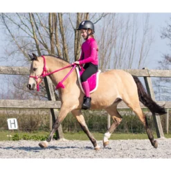 Touwhalster QHP Met Teugels Donkerroze -Ruiter Hoek Verkoopwinkel touwhalster qhp met teugels donkerroze 1500x1500 101207
