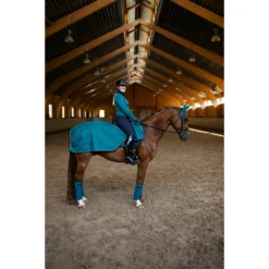 Uitrijdeken Equestrian Stockholm Aurora Blues Darkturquoise -Ruiter Hoek Verkoopwinkel uitrijdeken equestrian stockholm aurora blues darkturquoise 1500x1500 166085