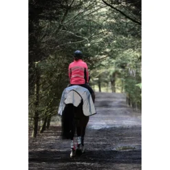 Uitrijdeken WeatherBeeta Reflective Zwart-zilver -Ruiter Hoek Verkoopwinkel uitrijdeken weatherbeeta reflective zwart zilver 1500x1500 135298