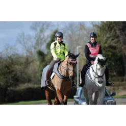 Uitrijdeken WeatherBeeta Reflective Zwart-zilver -Ruiter Hoek Verkoopwinkel uitrijdeken weatherbeeta reflective zwart zilver 1500x1500 135299