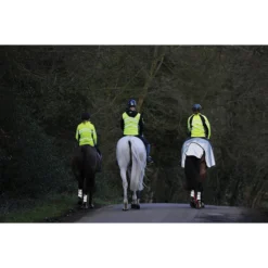 Uitrijdeken WeatherBeeta Reflective Zwart-zilver -Ruiter Hoek Verkoopwinkel uitrijdeken weatherbeeta reflective zwart zilver 1500x1500 135300