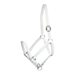 Veulenhalster Epplejeck Standaard Wit