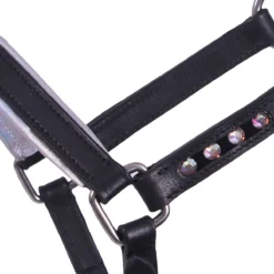 Veulenhalster QHP Parla Leer Zwart -Ruiter Hoek Verkoopwinkel veulenhalster qhp parla leer zwart 1500x1500 124140