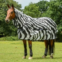Vliegendeken Bucas Buzz Off Zebra With Neck Zebra -Ruiter Hoek Verkoopwinkel vliegendeken bucas buzz off zebra with neck zebra 1500x1500 123738