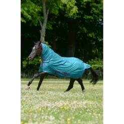 Vliegendeken Bucas Freedom Fly Sheet Groen -Ruiter Hoek Verkoopwinkel vliegendeken bucas freedom fly sheet groen 1500x1500 174500