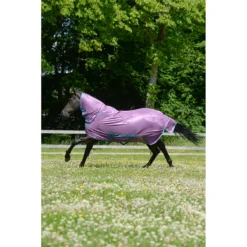 Vliegendeken Bucas Freedom Fly Sheet Paars -Ruiter Hoek Verkoopwinkel vliegendeken bucas freedom fly sheet paars 1500x1500 174498