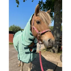 Vliegendeken Epplejeck Summertime Full Neck Lichtgroen-groen -Ruiter Hoek Verkoopwinkel vliegendeken epplejeck summertime full neck lichtgroen groen 1500x1500 186949