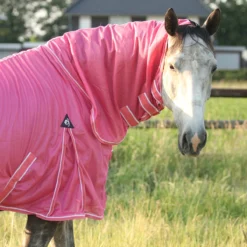 Vliegendeken Epplejeck Summertime Full Neck Roze -Ruiter Hoek Verkoopwinkel vliegendeken epplejeck summertime full neck roze 1500x1500 186947
