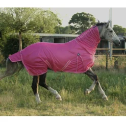 Vliegendeken Epplejeck Summertime Full Neck Roze -Ruiter Hoek Verkoopwinkel vliegendeken epplejeck summertime full neck roze 1500x1500 186948