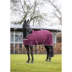 Vliegendeken LeMieux Arika Air-Tek Donkerrood -Ruiter Hoek Verkoopwinkel vliegendeken lemieux arika air tek donkerrood 1500x1500 143313